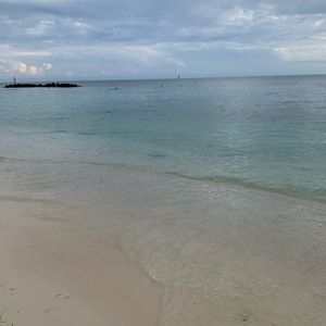 Meet your Posher, Jisun